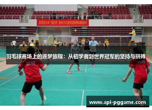 羽毛球赛场上的逐梦旅程：从初学者到世界冠军的坚持与拼搏