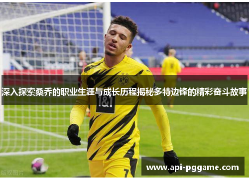 深入探索桑乔的职业生涯与成长历程揭秘多特边锋的精彩奋斗故事